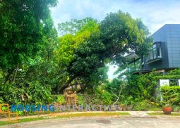 lot for sale in ayala westgrove heights