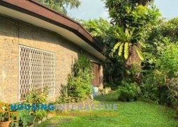 corner lot with old house for sale in san lorenzo village