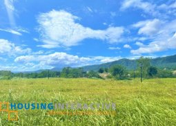 prime lot for sale in tagaytay highlands