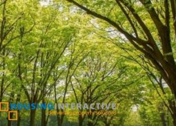 prime lot for sale in rockwell south at carmelray