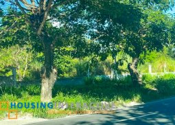 an alluring and lot for lease in mexico, pampanga