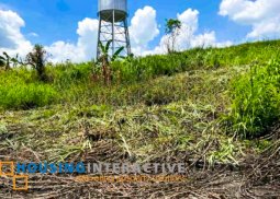 grand lot for sale in eastland heights