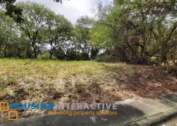 grand lot for sale in susana heights