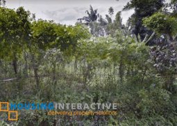 spacious agricultural lot for sale in alfonso