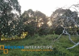 agricultural lot for sale in alagao