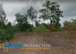 agricultural lot for sale in topacio