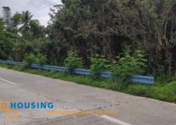 farm lot for sale in magdalena