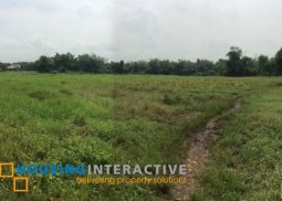 agricultural lot for sale in catmon