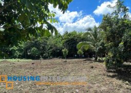 agricultural lot for sale in calauan, laguna