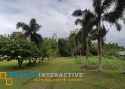 agricultural lot for sale in lipa
