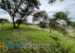 spacious lot for sale in ayala westgrove heights