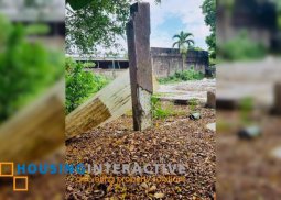 grand lot for sale in tierra pura