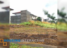 lot for sale in avida woodhill settings