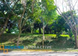 lot for sale in ayala westgrove heights