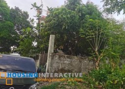 lot for sale in our lady of lourdes subdivision