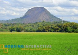 spacious commercial lot for sale in dinalupihan