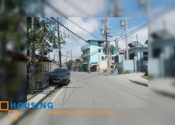 spacious commercial lot for sale in purok 6, napindan