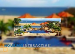 grand lot for sale in playa laiya