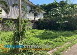 spacious lot for sale in filinvest east