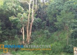 prime lot for sale in parkridge estates