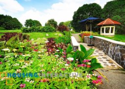 prime lot for sale in ayala westgrove heights