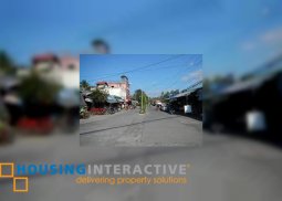 farm lot for sale in agoncillo, batangas
