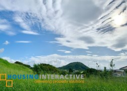 lot for sale in ayala greenfield estates