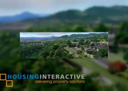 lot for sale in andacillo