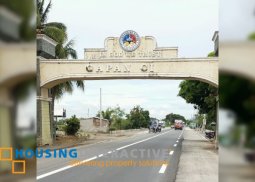 grand lot for sale in gapan, nueva ecija