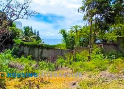 beach lot for sale in san juan, batangas