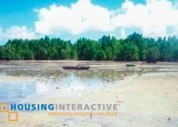 beach front for sale in puerto princesa