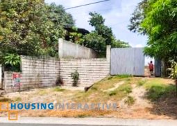 farm lot for sale in tanauan