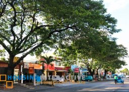 prime lot for sale in bf homes