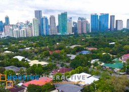 grand lot for sale in legaspi village