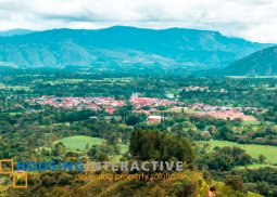 farm lot for sale in alfonso