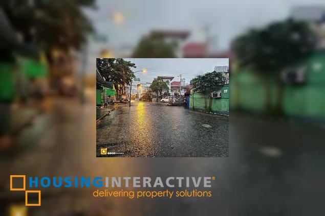 commercial-residential lot for sale in palanan