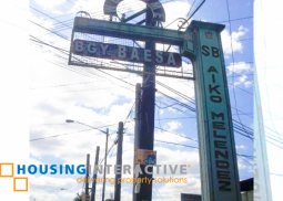 industrial lot for lease in baesa, quezon city