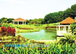 residential lot for sale in ayala westgrove heights