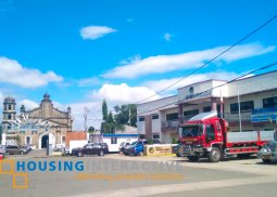 agricultural lot for sale in alaminos, laguna