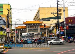 spacious lot for sale in banawe