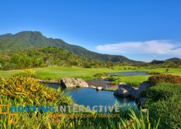 prime lot for sale in ayala greenfield estates