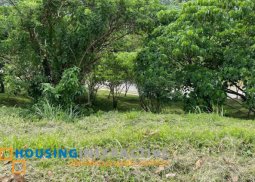 spacious lot for sale in ayala westgrove heights