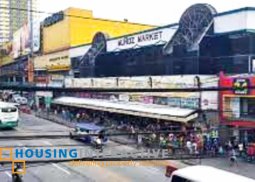 multi purpose lot for sale in project 7