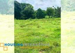 spacious lot for sale in adlas, silang