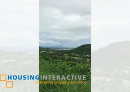 prime lot for sale in ayala greenfield estates