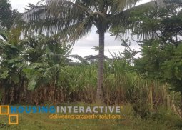 agricultural lot for sale in calatagan