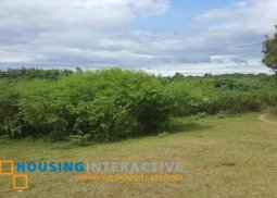 agricultural lot for sale in poblacion 3, calatagan