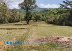 farm lot for sale in sitio pantay, tanay