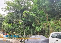 grand lot for sale in blue ridge a