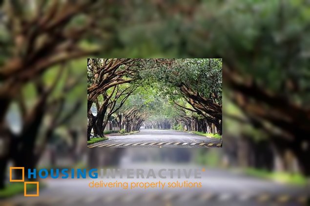 corner lot for sale in dasmarinas village